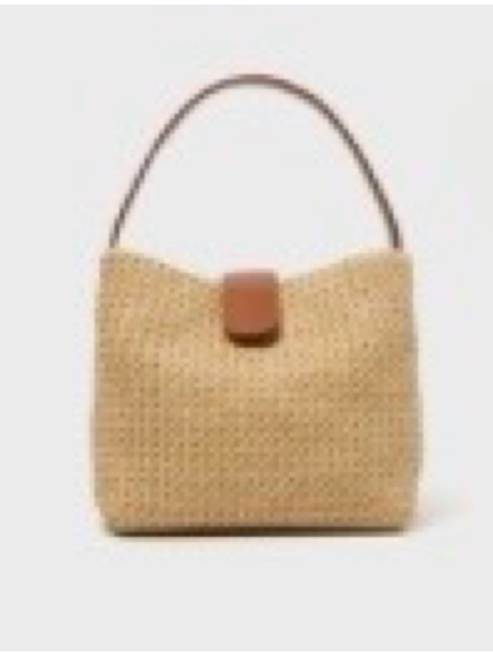 Audrey Mini Raffia Lady Bag in Raffia
